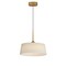 Maxim Lighting Paramount 16'' LED Pendant, Natural Aged Brass 10334OFNAB - alternate 1